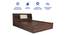 Lavish Center Queen Engineered Wood Bed Design 2 (Walnut Finish, Queen Bed Size, Light Grey, Box Storage Type) by Urban Ladder - Rear View Design 1 - 871999