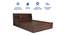 Lavish Center Queen Engineered Wood Bed Design 3 (Walnut Finish, Queen Bed Size, Wine, Box Storage Type) by Urban Ladder - Rear View Design 1 - 872000