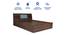Lavish Center Queen Engineered Wood Bed Design 4 (Walnut Finish, Queen Bed Size, Box Storage Type, Grey Blue) by Urban Ladder - Rear View Design 1 - 872001