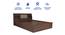 Lavish Center Queen Engineered Wood Bed Design 5 (Walnut Finish, Queen Bed Size, Box Storage Type, Stone Brown) by Urban Ladder - Rear View Design 1 - 872002