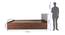 Lush Queen Engineered Wood Bed Design 19 (Walnut Finish, Queen Bed Size, Dark Brown, Box Storage Type) by Urban Ladder - Image 2 Design 1 - 872015