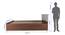 Lush Queen Engineered Wood Bed Design 21 (Walnut Finish, Queen Bed Size, Box Storage Type, Mint Green) by Urban Ladder - Image 2 Design 1 - 872017