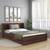 Fvbdns33br72081 lp