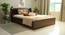Timber Queen Engineered Wood Bed Design 2 (Walnut Finish, Brown, Queen Bed Size, Box Storage Type) by Urban Ladder - Front View Design 1 - 872037