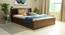 Timber Queen Engineered Wood Bed Design 3 (Walnut Finish, Brown, Queen Bed Size, Box Storage Type) by Urban Ladder - Front View Design 1 - 872038