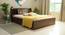 Timber Queen Engineered Wood Bed Design 4 (Walnut Finish, Brown, Queen Bed Size, Box Storage Type) by Urban Ladder - Front View Design 1 - 872039
