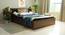 Timber Queen Engineered Wood Bed Design 5 (Walnut Finish, Brown, Queen Bed Size, Box Storage Type) by Urban Ladder - Front View Design 1 - 872040