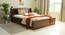 Timber Queen Engineered Wood Bed Design 6 (Walnut Finish, Brown, Queen Bed Size, Box Storage Type) by Urban Ladder - Front View Design 1 - 872041