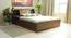 Timber Queen Engineered Wood Bed Design 7 (Walnut Finish, Brown, Queen Bed Size, Box Storage Type) by Urban Ladder - Front View Design 1 - 872042