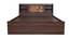 Timber Queen Engineered Wood Bed Design 3 (Walnut Finish, Brown, Queen Bed Size, Box Storage Type) by Urban Ladder - Ground View Design 1 - 872057