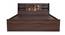 Timber Queen Engineered Wood Bed Design 4 (Walnut Finish, Brown, Queen Bed Size, Box Storage Type) by Urban Ladder - Ground View Design 1 - 872058