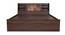 Timber Queen Engineered Wood Bed Design 6 (Walnut Finish, Brown, Queen Bed Size, Box Storage Type) by Urban Ladder - Ground View Design 1 - 872060
