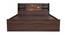 Timber Queen Engineered Wood Bed Design 7 (Walnut Finish, Brown, Queen Bed Size, Box Storage Type) by Urban Ladder - Ground View Design 1 - 872061