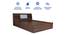 Lavish Center Queen Engineered Wood Bed Design 8 (Walnut Finish, Queen Bed Size, Light Grey, Box Storage Type) by Urban Ladder - Rear View Design 1 - 872062