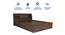Lavish Center Queen Engineered Wood Bed Design 10 (Walnut Finish, Queen Bed Size, Light Brown, Box Storage Type) by Urban Ladder - Rear View Design 1 - 872064