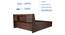 Timber Queen Engineered Wood Bed Design 1 (Walnut Finish, Brown, Queen Bed Size, Box Storage Type) by Urban Ladder - Rear View Design 1 - 872065
