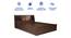 Timber Queen Engineered Wood Bed Design 4 (Walnut Finish, Brown, Queen Bed Size, Box Storage Type) by Urban Ladder - Rear View Design 1 - 872068