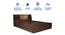 Timber Queen Engineered Wood Bed Design 5 (Walnut Finish, Brown, Queen Bed Size, Box Storage Type) by Urban Ladder - Rear View Design 1 - 872069