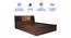 Timber Queen Engineered Wood Bed Design 7 (Walnut Finish, Brown, Queen Bed Size, Box Storage Type) by Urban Ladder - Rear View Design 1 - 872071