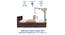 Timber Queen Engineered Wood Bed Design 2 (Walnut Finish, Brown, Queen Bed Size, Box Storage Type) by Urban Ladder - Ground View Design 1 - 872076