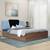 Fvbdns33br72097 lp