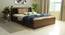 Timber Queen Engineered Wood Bed Design 8 (Walnut Finish, Brown, Queen Bed Size, Box Storage Type) by Urban Ladder - Front View Design 1 - 872104