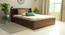 Timber Queen Engineered Wood Bed Design 9 (Walnut Finish, Brown, Queen Bed Size, Box Storage Type) by Urban Ladder - Front View Design 1 - 872105