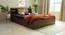Timber Queen Engineered Wood Bed Design 10 (Walnut Finish, Brown, Queen Bed Size, Box Storage Type) by Urban Ladder - Front View Design 1 - 872106