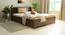 Timber Queen Engineered Wood Bed Design 11 (Walnut Finish, Brown, Queen Bed Size, Box Storage Type) by Urban Ladder - Front View Design 1 - 872107