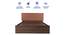 Namah Engineered Wood Bed With Premium Leatherette Fabric And Box Storage - Queen Engineered Wood Bed (Walnut Finish, Tan, Queen Bed Size, Box Storage Type) by Urban Ladder - Design 1 Side View - 872123
