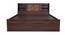 Timber Queen Engineered Wood Bed Design 8 (Walnut Finish, Brown, Queen Bed Size, Box Storage Type) by Urban Ladder - Ground View Design 1 - 872124