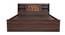 Timber Queen Engineered Wood Bed Design 9 (Walnut Finish, Brown, Queen Bed Size, Box Storage Type) by Urban Ladder - Ground View Design 1 - 872125