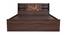 Timber Queen Engineered Wood Bed Design 10 (Walnut Finish, Brown, Queen Bed Size, Box Storage Type) by Urban Ladder - Ground View Design 1 - 872126