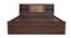 Timber Queen Engineered Wood Bed Design 11 (Walnut Finish, Brown, Queen Bed Size, Box Storage Type) by Urban Ladder - Ground View Design 1 - 872127