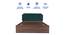 Citta Engineered Wood Bed With Premium Leatherette Fabric And Box Storage - Queen Engineered Wood Bed (Walnut Finish, Green, Queen Bed Size, Box Storage Type) by Urban Ladder - Ground View Design 1 - 872132