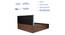 Namah Engineered Wood Bed With Premium Leatherette Fabric And Box Storage - Queen Engineered Wood Bed (Walnut Finish, Tan, Queen Bed Size, Box Storage Type) by Urban Ladder - Ground View Design 1 - 872133