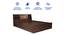 Timber Queen Engineered Wood Bed Design 10 (Walnut Finish, Brown, Queen Bed Size, Box Storage Type) by Urban Ladder - Rear View Design 1 - 872136
