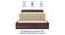 Kosha Engineered Wood Bed With Premium Leatherette Fabric And Box Storage - Queen Engineered Wood Bed (Walnut Finish, Blue, Queen Bed Size, Box Storage Type) by Urban Ladder - Rear View Design 1 - 872140