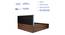 Prana Engineered Wood Bed With Premium Leatherette Fabric And Box Storage - Queen Engineered Wood Bed (Walnut Finish, Queen Bed Size, Box Storage Type, Charcoal) by Urban Ladder - Ground View Design 1 - 872149