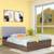 Fvbdns33br72104 lp