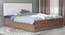 Yama Engineered Wood Bed With Premium Leatherette Fabric And Box Storage - Queen Engineered Wood Bed (Walnut Finish, Queen Bed Size, Beige, Box Storage Type) by Urban Ladder - Front View Design 1 - 872165