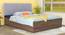Sutra Engineered Wood Bed With Premium Leatherette Fabric And Box Storage - Queen Engineered Wood Bed (Walnut Finish, Grey, Queen Bed Size, Box Storage Type) by Urban Ladder - Front View Design 1 - 872172