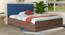 Mudra Engineered Wood Bed With Premium Leatherette Fabric And Box Storage - Queen Engineered Wood Bed (Walnut Finish, Blue, Queen Bed Size, Box Storage Type) by Urban Ladder - Front View Design 1 - 872174