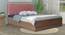Viveka Engineered Wood Bed With Premium Leatherette Fabric And Box Storage - Queen Engineered Wood Bed (Walnut Finish, Queen Bed Size, Box Storage Type, Dusty Rose) by Urban Ladder - Front View Design 1 - 872175