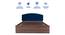 Satya Engineered Wood Bed With Premium Leatherette Fabric And Box Storage - Queen Engineered Wood Bed (Walnut Finish, Blue, Queen Bed Size, Box Storage Type) by Urban Ladder - Ground View Design 1 - 872200