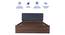 Japa Engineered Wood Bed With Premium Leatherette Fabric And Box Storage - Queen Engineered Wood Bed (Walnut Finish, Queen Bed Size, Box Storage Type, Charcoal) by Urban Ladder - Ground View Design 1 - 872202