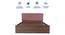 Viveka Engineered Wood Bed With Premium Leatherette Fabric And Box Storage - Queen Engineered Wood Bed (Walnut Finish, Queen Bed Size, Box Storage Type, Dusty Rose) by Urban Ladder - Ground View Design 1 - 872205