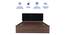 Samskara Engineered Wood Bed With Premium Leatherette Fabric And Box Storage - Queen Engineered Wood Bed (Walnut Finish, Black, Queen Bed Size, Box Storage Type) by Urban Ladder - Ground View Design 1 - 872206