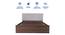 Ananda Engineered Wood Bed With Premium Leatherette Fabric And Box Storage - Queen Engineered Wood Bed (Walnut Finish, Queen Bed Size, Light Blue, Box Storage Type) by Urban Ladder - Ground View Design 1 - 872207