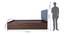 Satya Engineered Wood Bed With Premium Leatherette Fabric And Box Storage - Queen Engineered Wood Bed (Walnut Finish, Blue, Queen Bed Size, Box Storage Type) by Urban Ladder - Image 2 Design 1 - 872230
